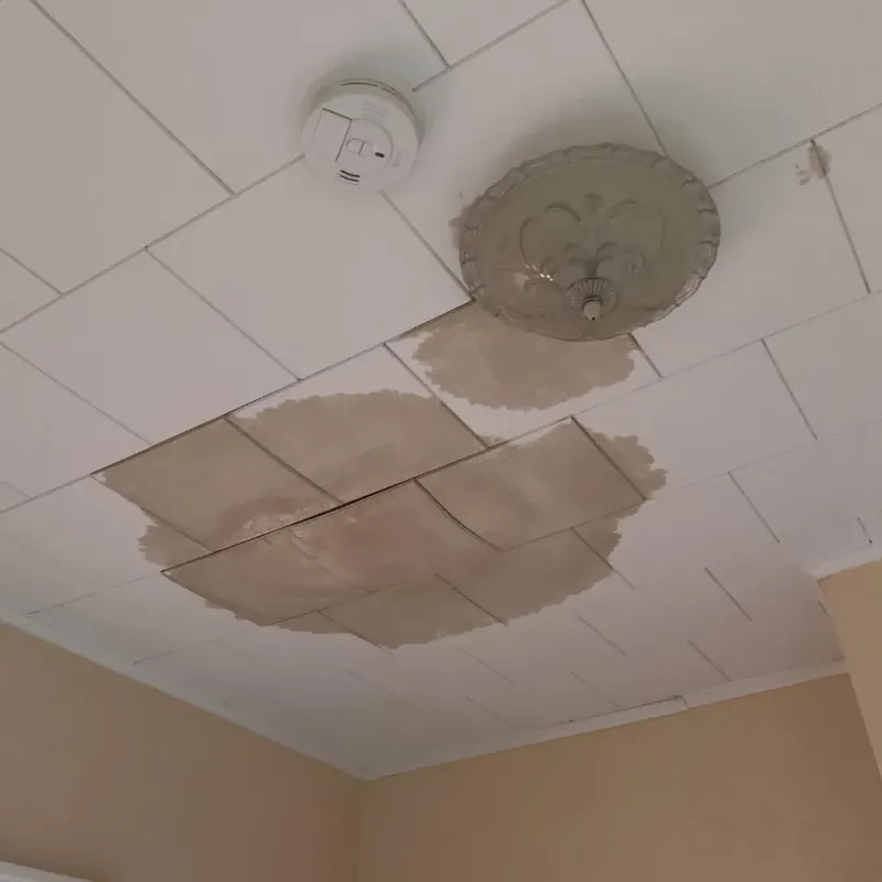 Ceiling Water Damage Repair in Frackville, PA