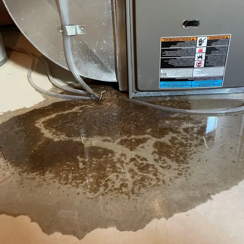 Pipe Burst and Leak Restoration in Frackville, PA