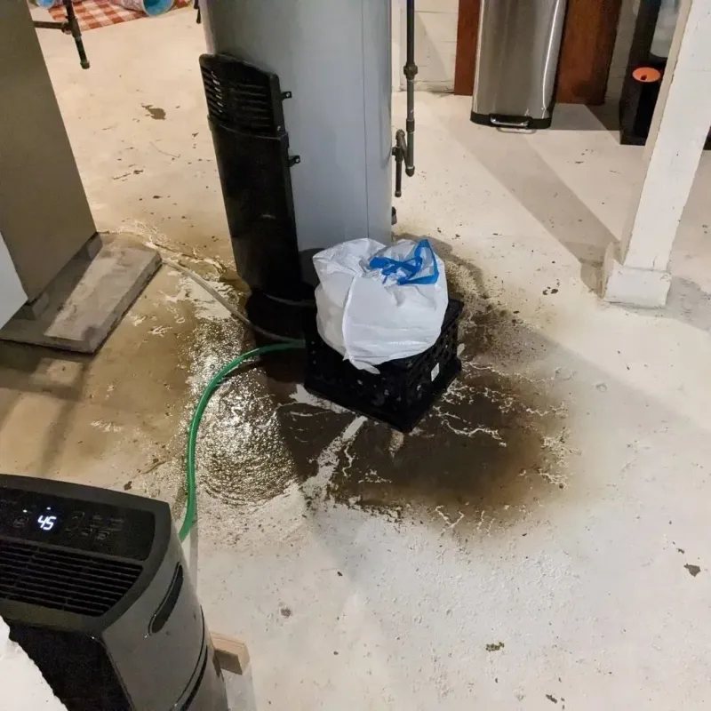 Sewage Backup Cleanup Service in Frackville, PA